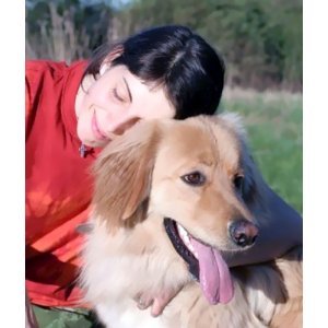 GSI High Quality Ultra-Safe Super-Range Electronic Remote Control Dog Training Collar System - Includes Transmitter, Receiver and Weather-Proof Secure Collar - Ideal for Calling or Locating Dog with Light, Vibrations or Static Shock Impulse - Image 5