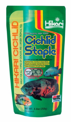 Hikari 8.8-Ounce Cichlid Staple Floating Pellets for Pets, Large