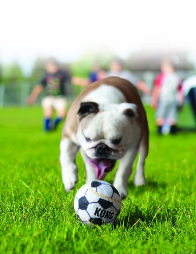 KONG 3-Pack Sport Balls Dog Toy, Small, Assorted - Image 7