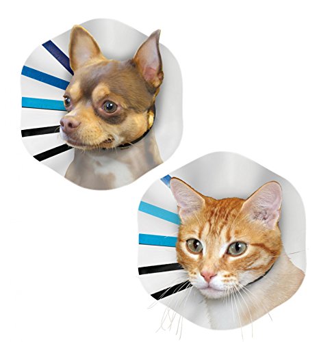 KONG EZ Clear Collar for Dogs and Cats, Small, Clear