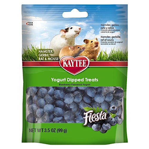 Kaytee Pet Products SKT100502787 Fiesta Yogurt Dipped Small Animal Treat, 3.5-Ounce, Blueberry Flavor