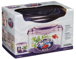 Marina Betta Pals Kit, Purple - Image 3