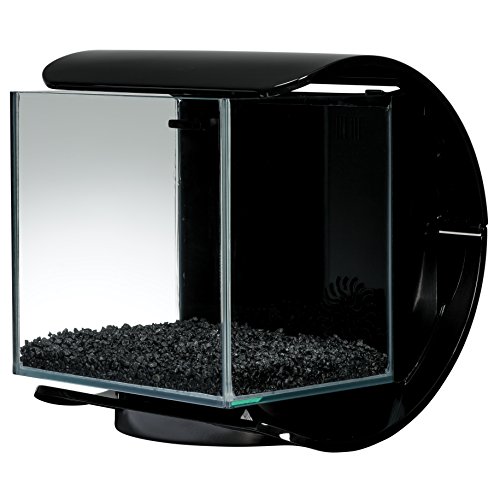 Marineland Silhouette Square Glass Aquarium Kit, 3-Gallon - Image 5
