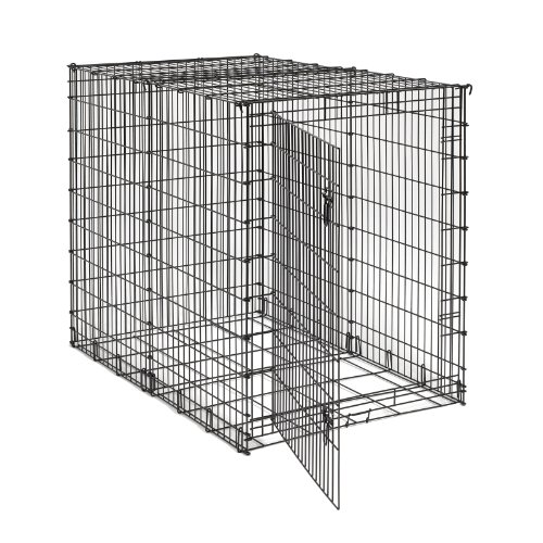 Midwest 54-By-35-By-45-Inch Single-Door Starter Series Pet Crate - Image 3