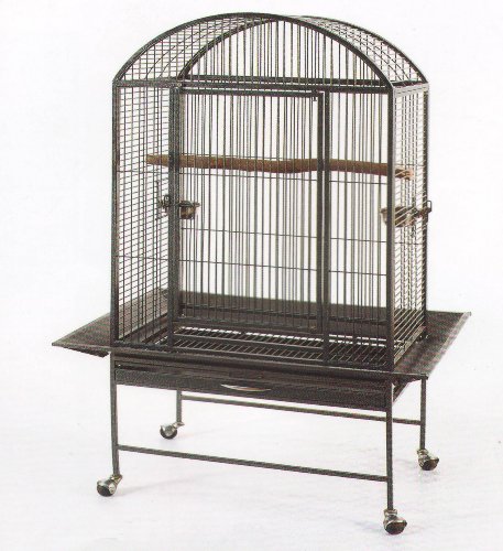 New Large Parrot Bird Wrought Iron Cage 28x20x60 Dome-Top *Black Vein*
