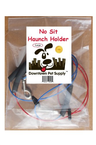 No Sit Haunch Holder Dog Grooming Restraint Restraint for Small or Meduim Dogs (Small-Medium: 17" and 21"), by Downtown Pet Supply - Image 3