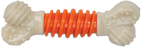 Nylabone Proaction Dog Dental Chew, Large