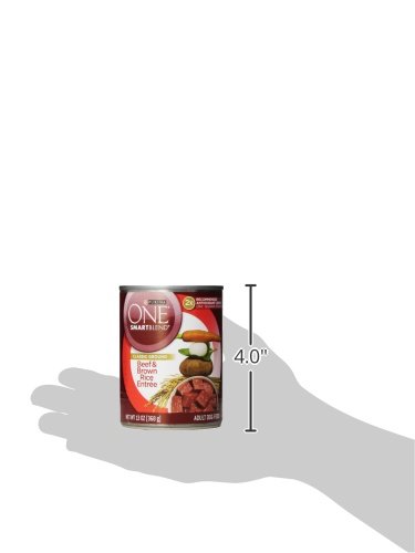 ONE Classics Chicken and Beef Dog Food Variety Pack, 9.75-Pound - Image 5