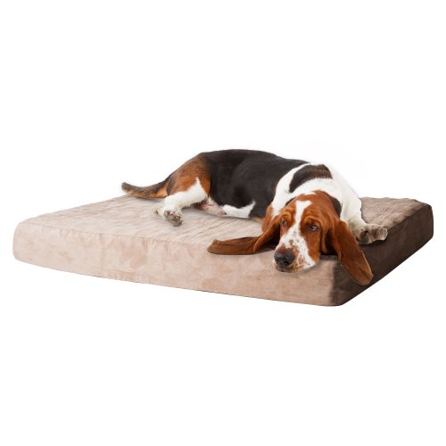 PAW Memory Foam Dog Bed with Removable Cover, Large - Image 4
