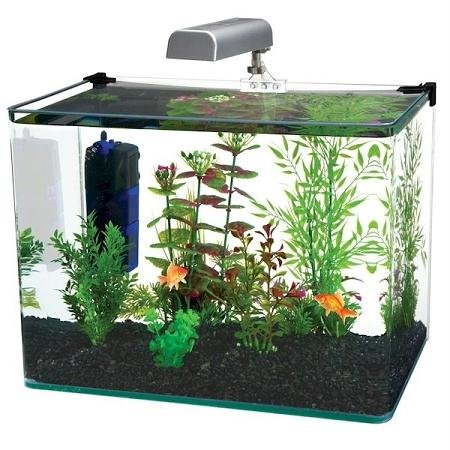 Penn Plax Radius Curved Corner Glass Aquarium Kit, 7.5 gallons