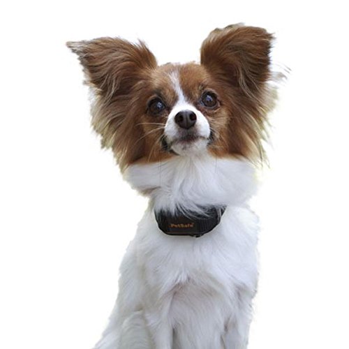 PetSafe PBC00-12789 Vibration Bark Control Collar