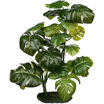 Petco Araceae Terrarium Plant Reptile Decor