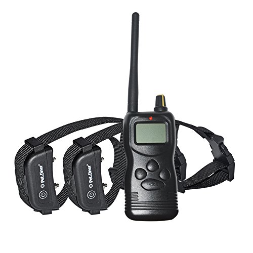 Petrainer 1000m Remote Dog Training Collar for 2 dogs with Rechargeable and Waterproof Receiver - Image 2