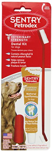 Petrodex Sentry Nat Peanut Pet Dental Kit, 2.5-Ounce