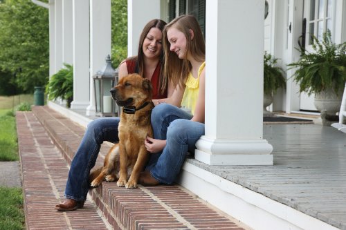 Petsafe Big Dog Rechargeable Bark Control Collar - Image 4