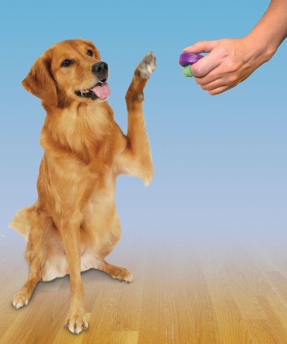 Petsafe Clik-R? in Retail Package - Image 4