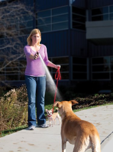 Petsafe Sprayshield Animal Deterrent Spray - Image 3