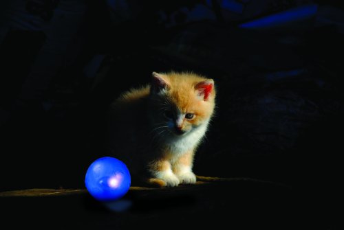 Petstages Twinkle Ball - Image 3