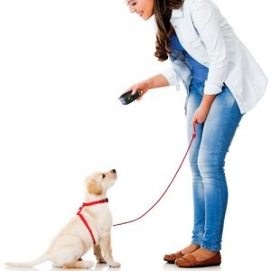 Petzoom Pet Command - The Ultimate Dog Training System