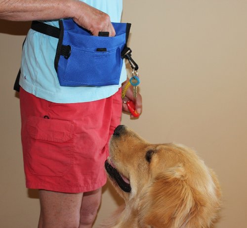 Premium Deluxe Dog Pet Training Treat Bait Bag Pouch with FREE Clicker by Downtown Pet Supply - Image 5