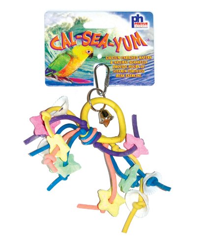 Prevue Hendryx Cal Sea Yums Urchin Bird Toy