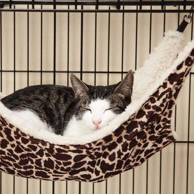 ProSelect Wild Time Pet Cage Hammock, Black