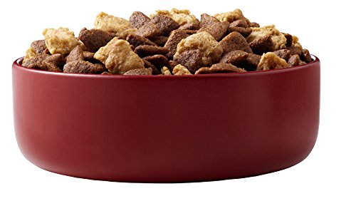 Purina ONE Smartblend Dry Dog Food, Chicken & Rice Formula, 8-Pound Bag, Pack of 1 - Image 4