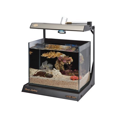 Schuber Wright Fancy Star Blue Rimless Aquarium, 4-Gallon