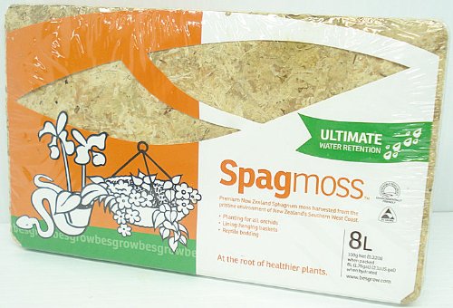 Sphagnum Moss 8 Liters New Zealand AAA Grade Great for Reptiles, Bedding and Terrarium 100 Gram Compressed Brick