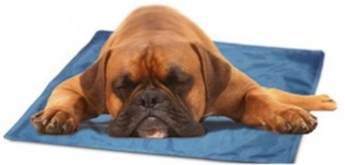 The Green Pet Shop Self Cooling Pet Pad, Medium