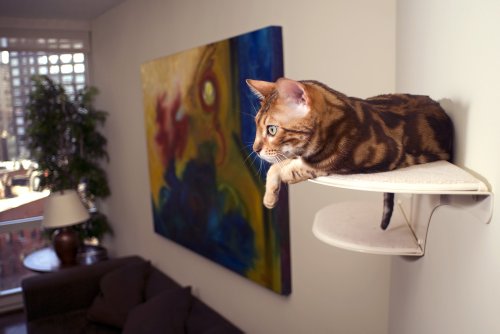 The Refined Feline Cat Cloud Cat Shelves in Off-White, Right Facing - Image 5