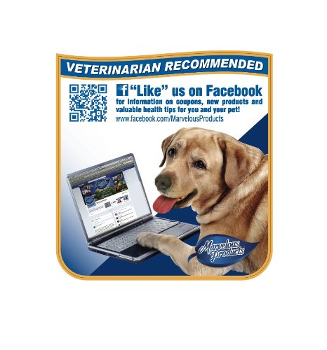 Value Size Osteo-Pet® Glucosamine Chondroitin for Dogs Soft Chews - 200ct - Image 4