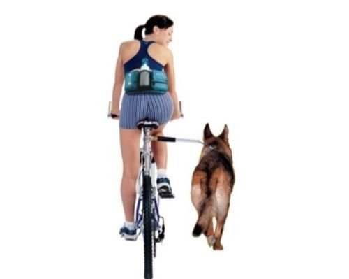 WalkyDog Dog Bicycle Exerciser Leash - Image 3