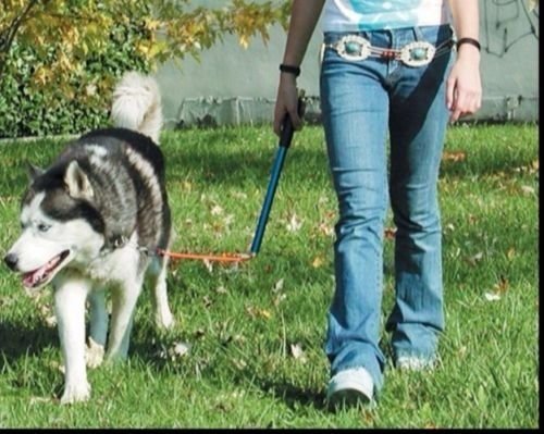 WalkyDog Dog Bicycle Exerciser Leash - Image 4