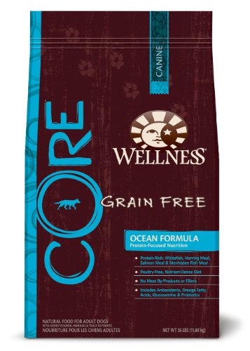 Wellness CORE Ocean Formula Dry Dog, 26-Pound Bag