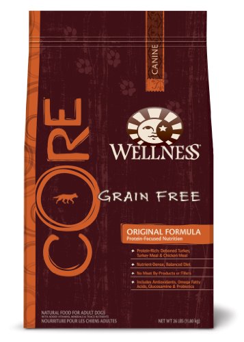 Wellness CORE Original Formula Dry Dog, 26-Pound Bag