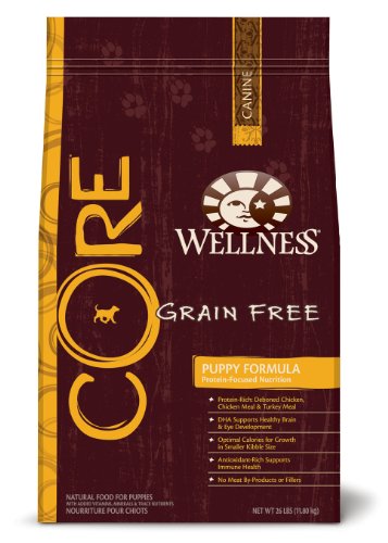 Wellness CORE Puppy Formula Pet Food Bag, 26-Pound