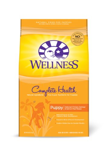 Wellness Complete Health Puppy Recipe, 30-Pound