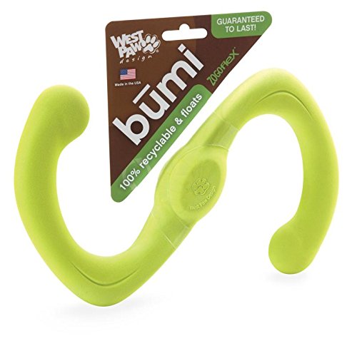 West Paw Design Guaranteed Tough Large Bumi Dog Toy, Granny Smith Apple Green