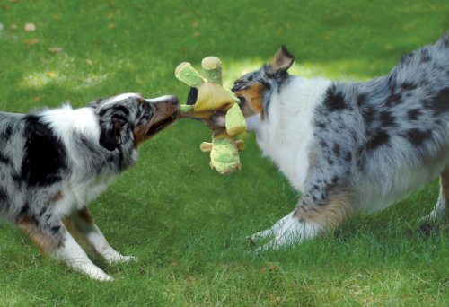 goDog Dragons 770639 Dragon Lime Green With Chew Guard Technology Tough Plush Dog Toy - Image 3