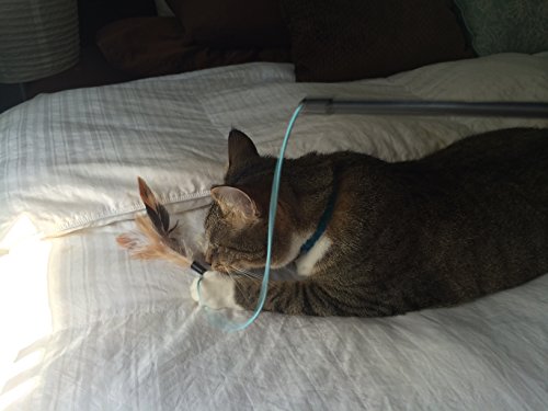2 Feather Teaser and Exerciser For Cat and Kitten - Cat Toy Interactive Cat Wand - Image 5