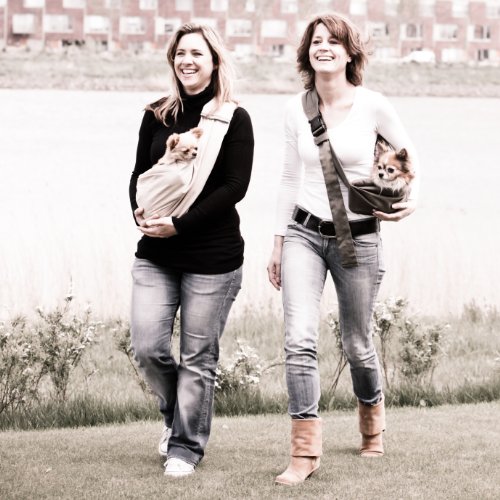 4 Lazy Legs Adjustable Pet Sling Carrier, Carrier for Dog, Sand Grey - Image 5