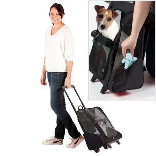 Black Dog Lightweight Travel Stroller