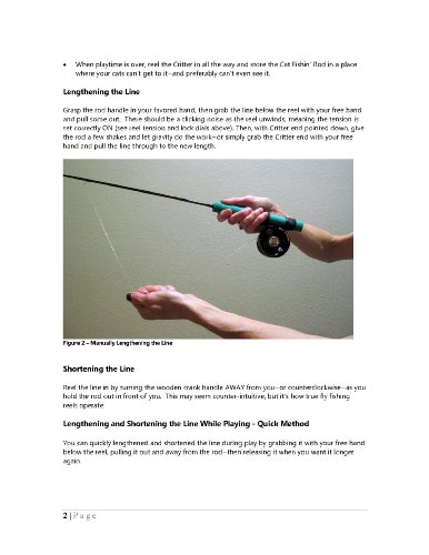 Cat Fishin': The Toy with Lasting Allure. The ULTIMATE Interactive Cat Fishing Pole / Wand Toy Has Finally Arrived! - Image 5