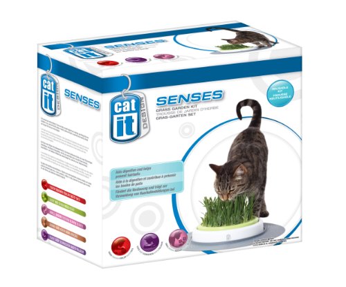 Catit Design Senses Grass Garden Kit - Image 3