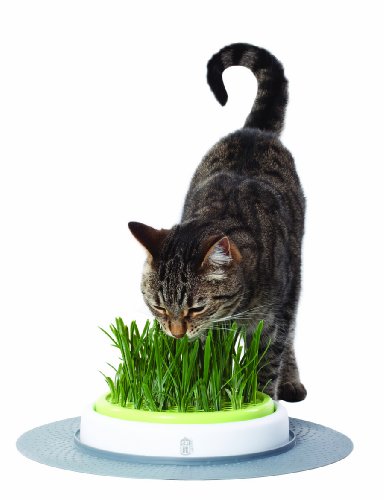 Catit Design Senses Grass Garden Kit - Image 2