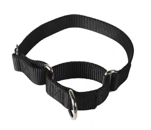 Country Brook Design® Martingale Heavyduty Nylon Dog Collar-Black-Large