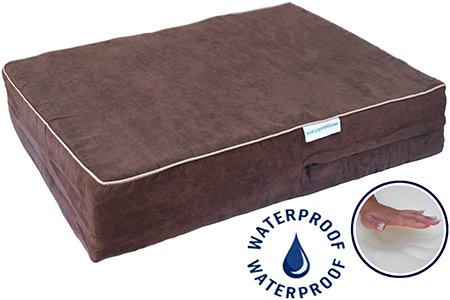 Go Pet Club Solid Memory Foam Orthopedic Pet Bed with Waterproof Cover, 55 by 38 by 4-Inch, Chocolate