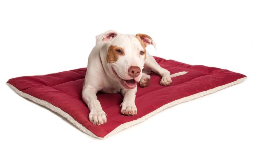Great Paw DownTime Reversible Pet Bed, Medium