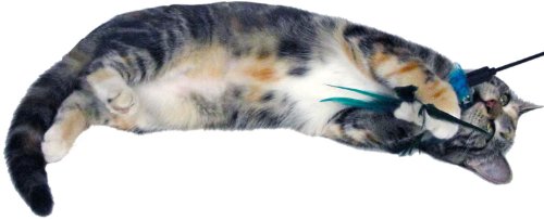 Imperial Cat Cat and Around, Feather Wand - Image 3